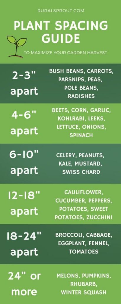 Plant spacing guide